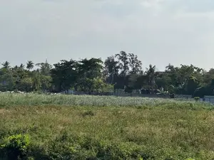 Commercial Land for Sale in Wattala