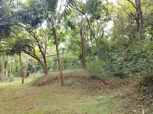 House with 80 Perches Land for Sale in Naula, Matale District