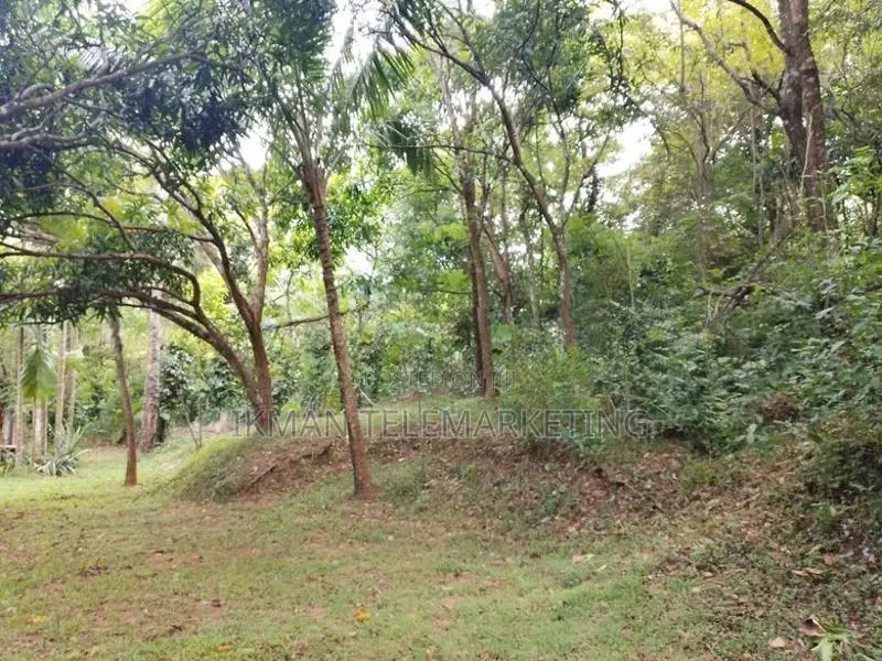 House with 80 Perches Land for Sale in Naula, Matale District