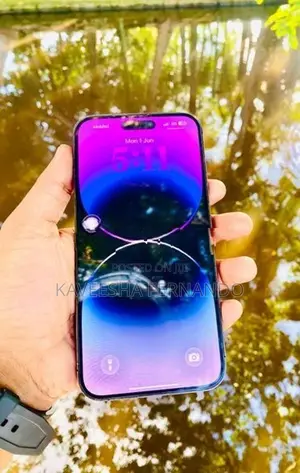 Apple iPhone 14 Pro Max (Used)