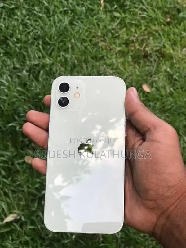 Apple iPhone 12 (Used)
