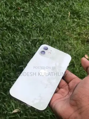 Apple iPhone 12 (Used)