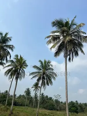 3.5 acre land for sale in kurunegala