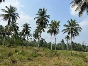 3.5 acre land for sale in kurunegala