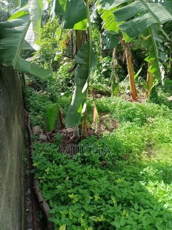 Land for Sale Kotte