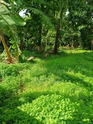 Land for Sale Kotte