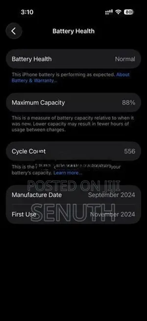Apple iPhone 16 Pro Desert Titanium (Used)