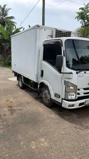 Isuzu Elf Freezer Truck 2017
