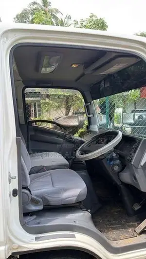 Isuzu Elf Freezer Truck 2017