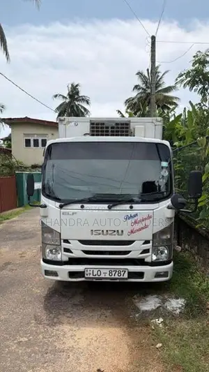 Isuzu Elf Freezer Truck 2017