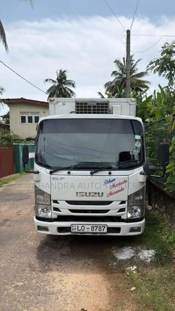 Isuzu Elf Freezer Truck 2017
