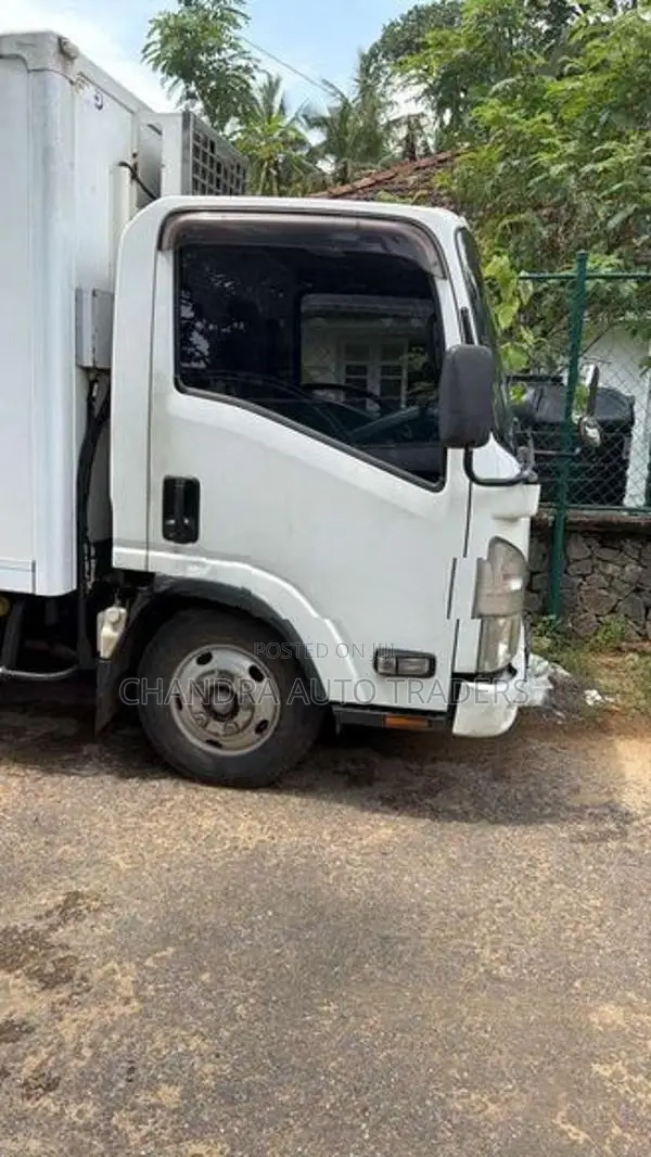 Isuzu Elf Freezer Truck 2017