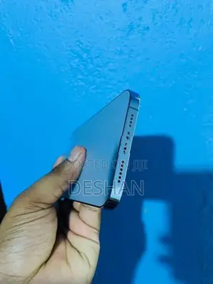 Apple iPhone 13 Pro Max 128GB (Used)