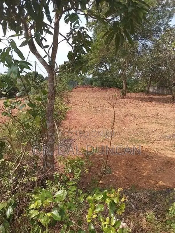 Gonapola Kumbuka 12.85p Land with Boundary Wall
