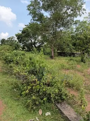 Land for Sale Kumbuka