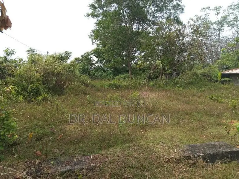 Gonapola Kumbuka 12.85p Land with Boundary Wall