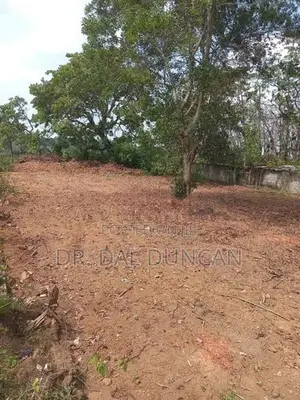Land for Sale Kumbuka