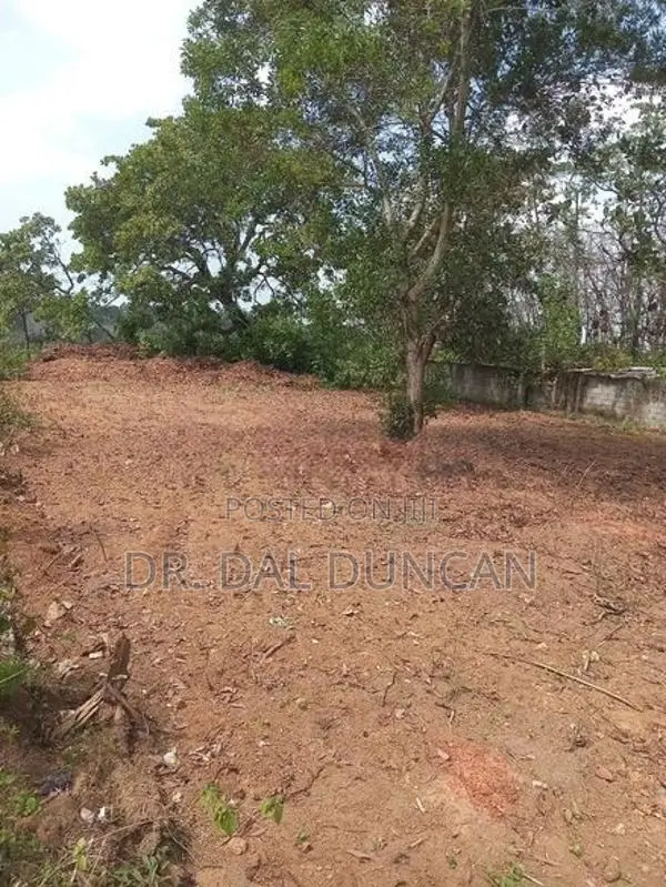 Land for Sale Kumbuka