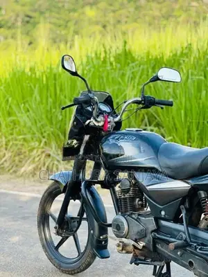 Bajaj Platina 100 2013