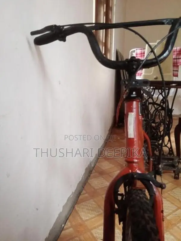 Bicycle