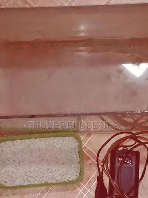 Fish Tank