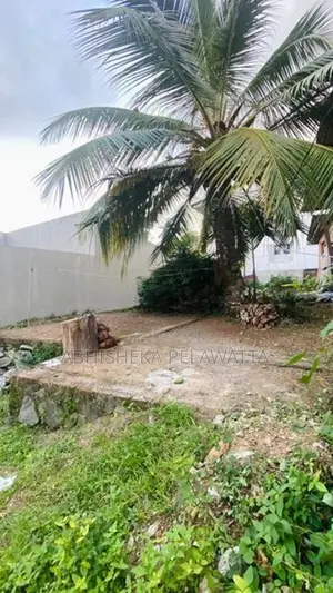 Land for Sale - Gothatuwa / ගොතටුව, නින්දහේන ඉඩමක් විකිණීමට