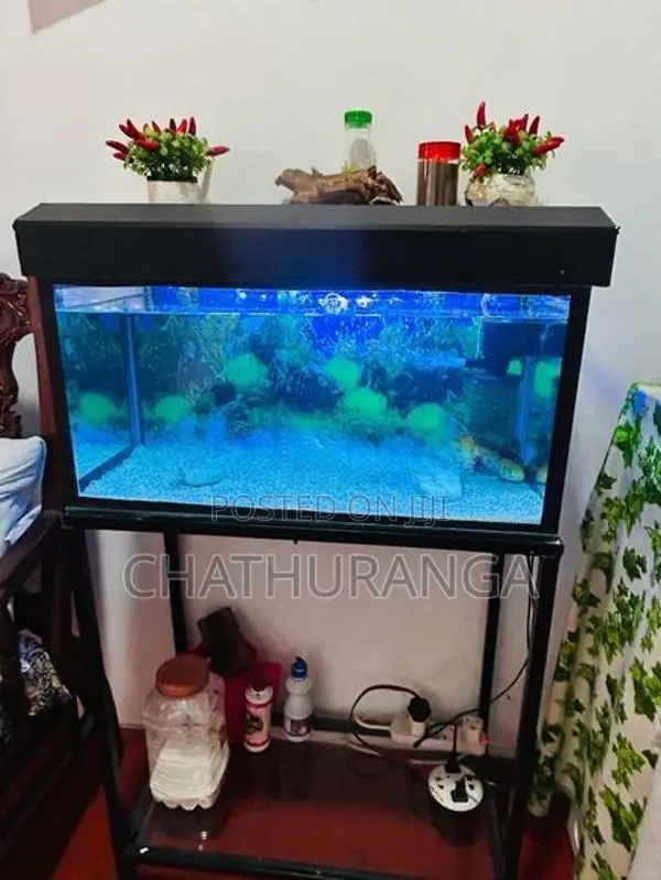 Fish Tank