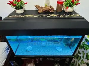 Fish Tank