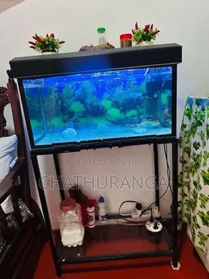 Fish Tank