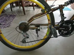 Ronson Sports Bicycle
