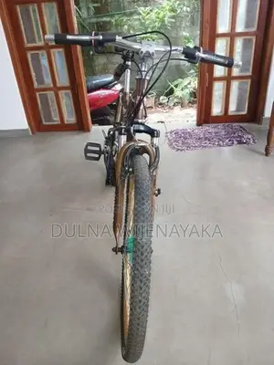 Ronson Sports Bicycle