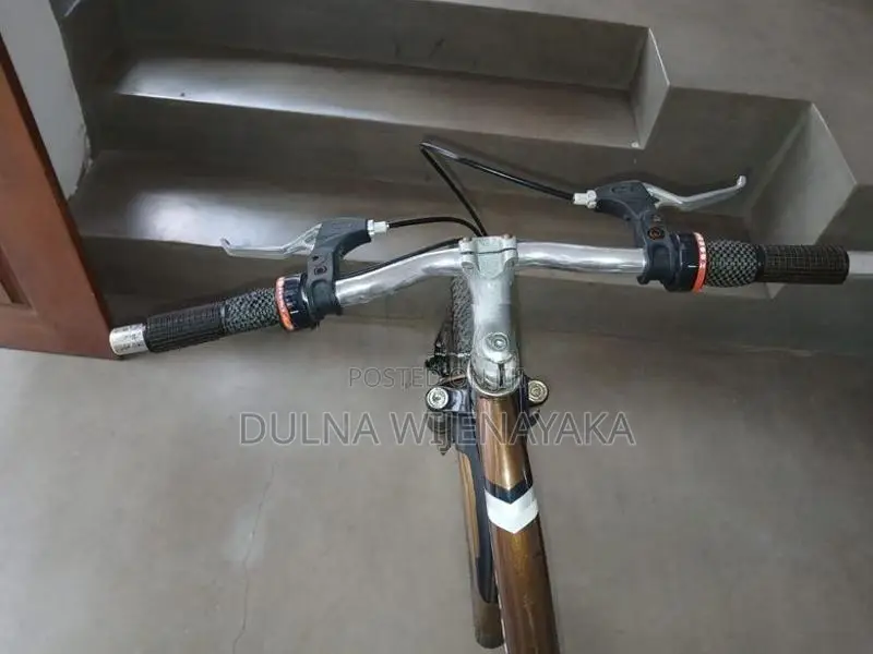 Ronson Sports Bicycle