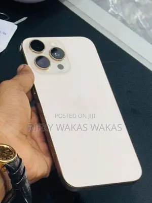 Apple iPhone 16 Pro Max (Used)