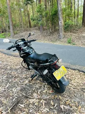 Bajaj Pulsar 150 2015