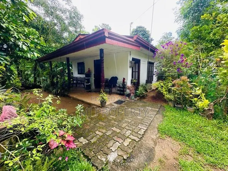 (YS-1020) Valuable Single Storey House Sale in Homagama