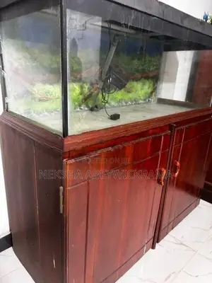 4 Feet Fish Tank with Stand