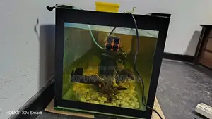 Fish Tank