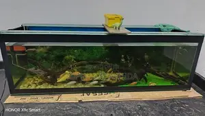 Fish Tank