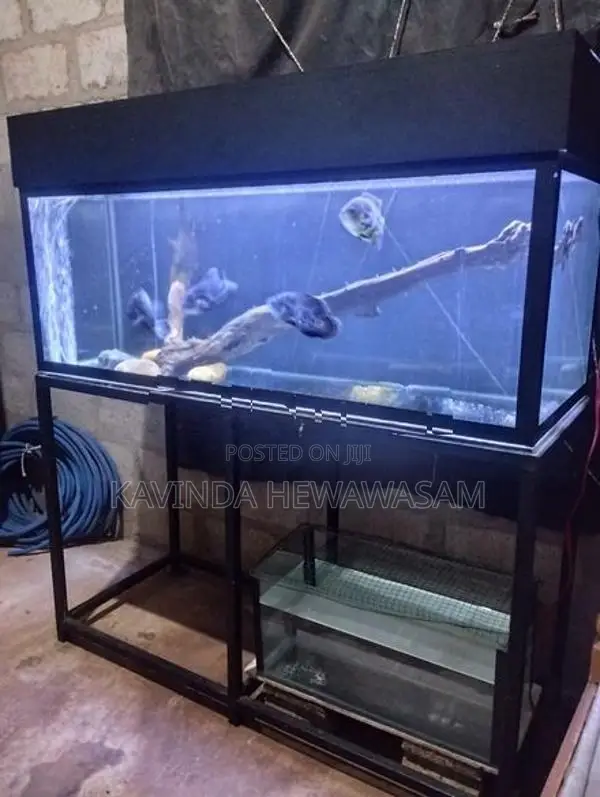 4 Feet Fish Tank