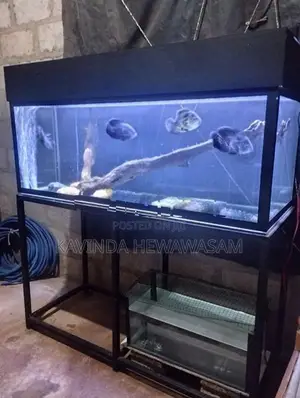 4 Feet Fish Tank