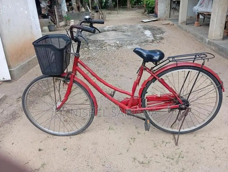 Ladies Bicycle