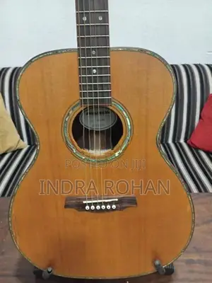 Semi Acoustic Guitar