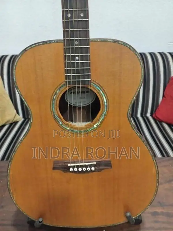 Semi Acoustic Guitar