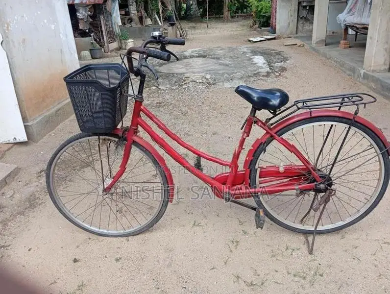 Ladies Bicycle