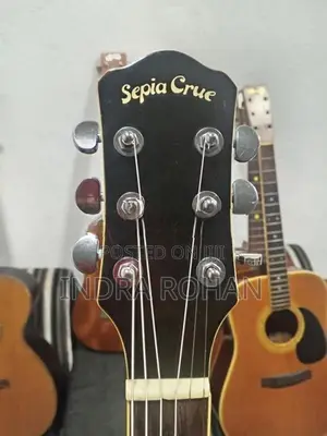 Semi Acoustic Guitar