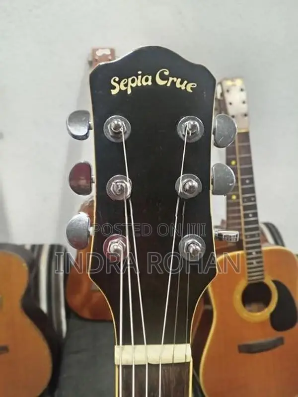 Semi Acoustic Guitar