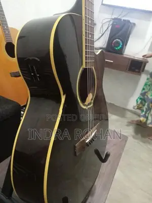 Semi Acoustic Guitar