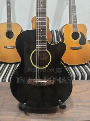 Semi Acoustic Guitar