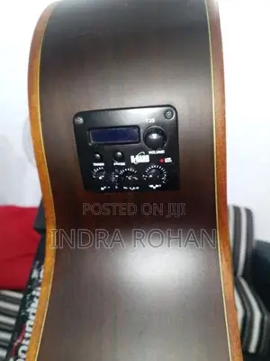 Semi Acoustic Guitar