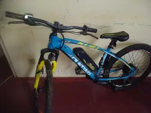 Electric Mountain Bicycle